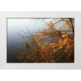 thumbnail image 3 of Alan Hausenflock 18x13 White Modern Wood Framed Wall Art Titled - Leaves of Orange II, 3 of 5