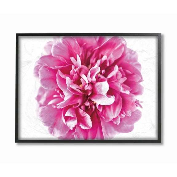 Stupell Industries Pink Pop Flower Petals Pink Curves Photograph Framed Wall Art Design by Elise Catterall, 16" x 20", Black Framed