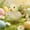 White-WH-clearacne, variant on WWG Easter Colorful Simulation Flocked Chick Cute Decoration Foam Easter Ornaments Spring Home Party Decor Set of 6 Assorted Colors 7.09 x 5.51 Inches