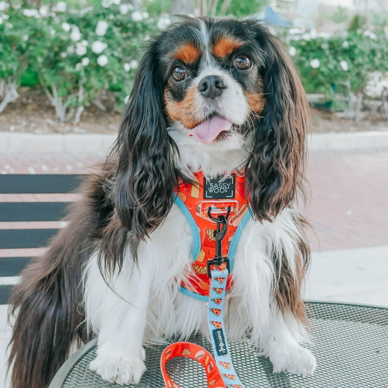 Three peaks dog collar sales