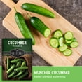 thumbnail image 4 of Muncher Cucumber Seeds - Non-GMO Heirloom Full Sun Annual Vegetable - 3 Packs, 4 of 9
