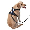 thumbnail image 3 of Gaeub Angry Shark Gaeub Angry Shark No Pull Dog Harness, Secure and Adjustable Pet Vest for Outdoor Activities - Medium, 3 of 9
