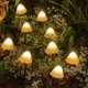 thumbnail image 2 of Guirlande Lumineuse Solaire Led Jardin Extrieur, Fe Champignon Guirlande Lumineuse 3,85 Mtres 12 Lumires Toujours Allumes - Blanc Chaud Kaili Sencillez, 2 of 5