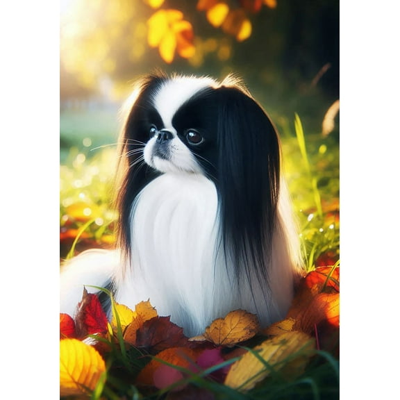 Japanese Chin Black and White  -   Best of Breed DCR Falling Leaves House Flag