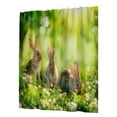 thumbnail image 2 of HongHeng Clearance Under $2.00 Digital Printing Light Green Easter Series Waterproof Shower Curtain Fabric Polyester, 2 of 7