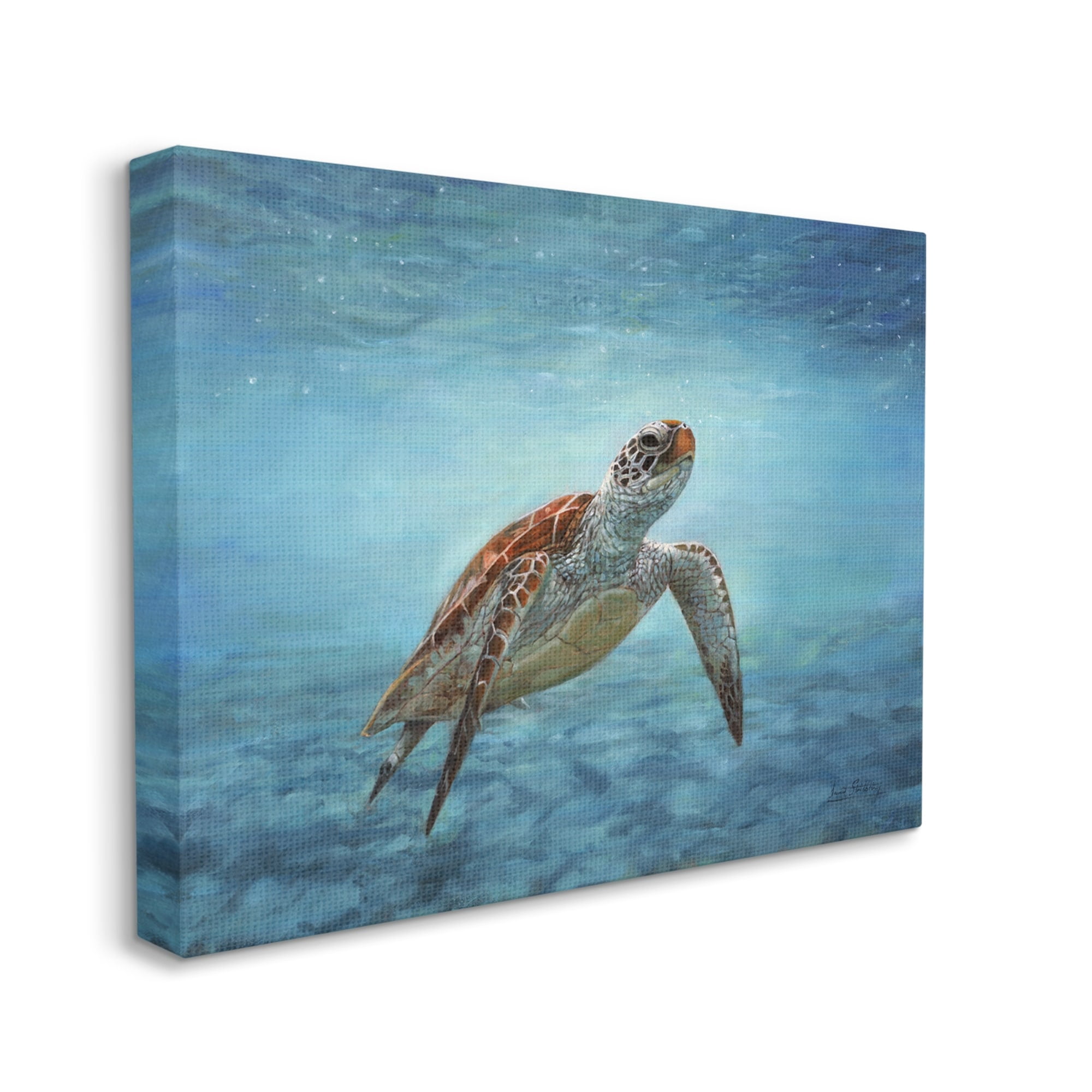 Stupell Industries Sea Turtle Underwater Marine Scene Deep Ocean Water Painting Gallery Wrapped Canvas Print Wall Art, Design by David Stribbling