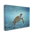 thumbnail image 3 of Stupell Industries Sea Turtle Underwater Marine Scene Deep Ocean Water Painting Gallery Wrapped Canvas Print Wall Art, Design by David Stribbling, 3 of 5