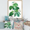 thumbnail image 2 of Designart 'Ancient Green Leaves Plants III' Traditional Framed Canvas Wall Art Print, 2 of 5