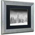 thumbnail image 2 of Trademark Fine Art "White World" Canvas Art by Philippe Sainte-Laudy, Black Matte, Silver Frame, 2 of 4