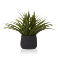 thumbnail image 1 of Bouclair Green Grass in Ceramic Pot, 1 of 10