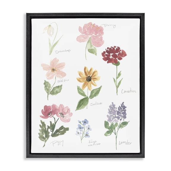 Stupell Industries Bohemian Labeled Flower Varieties Black Floating Frame Canvas Art, 17 x 21, by Lucille Price