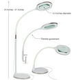 thumbnail image 2 of Brightech Lightview Pro 3 In 1 Magnifying Adjustable Floor and Desk Lamp, White, 2 of 12