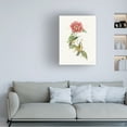 thumbnail image 2 of Trademark Fine Art Katie Pertiet Colorful Hummingbirds I Canvas Wall Art - 35x47, 2 of 5