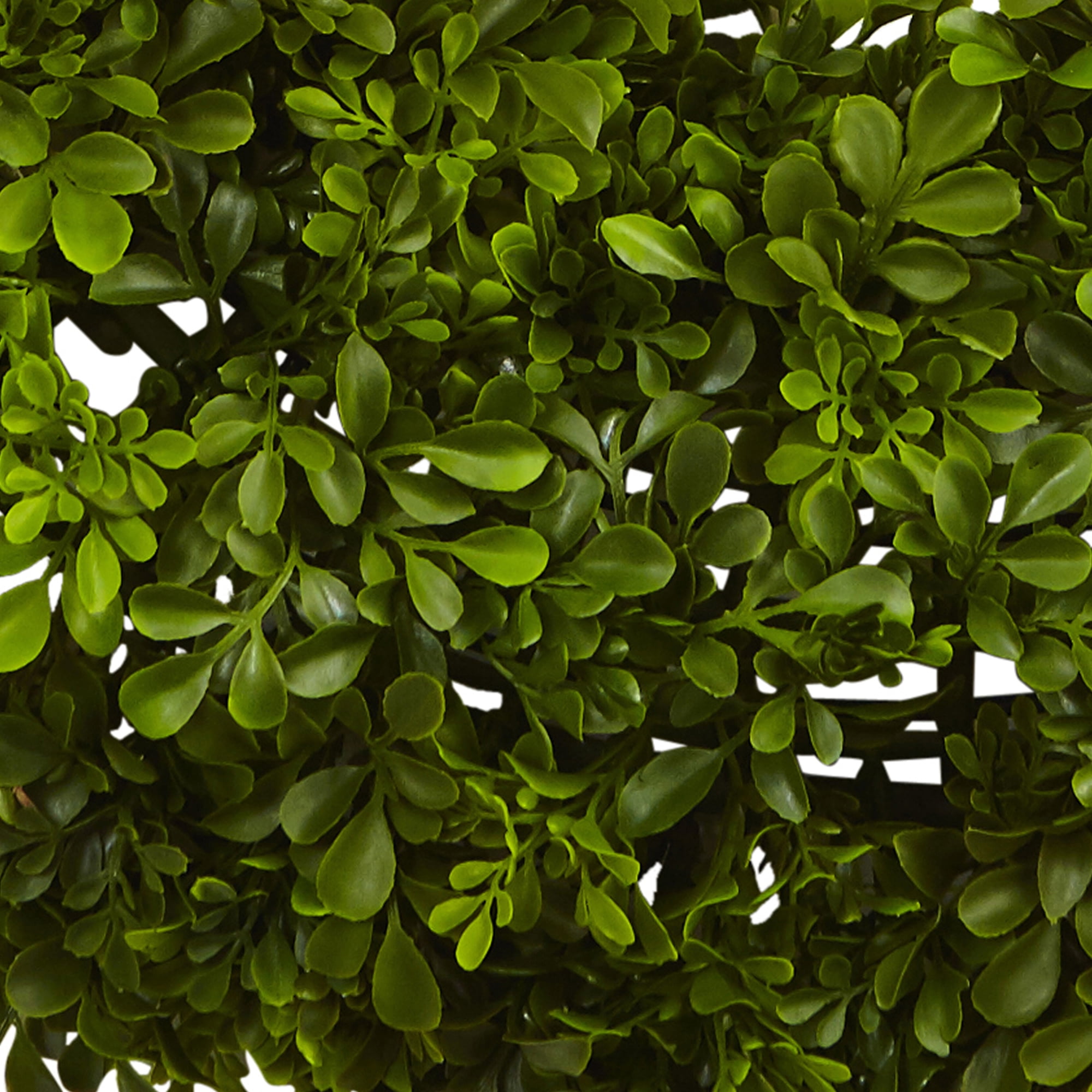 Nearly Natural Polyester Artificial Boxwood Wreath, 22" (Green)