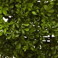 thumbnail image 4 of Nearly Natural Polyester Artificial Boxwood Wreath, 22" (Green), 4 of 6
