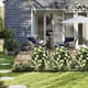 thumbnail image 5 of Plantación de flores simuladas para decoración de patio, jardín, primavera y verano, decoración exterior del hogar, plantas verdes artificiales, decoración de macetas para jardín., 5 of 6