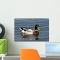 thumbnail image 1 of Wild Duck Wall Mural by Wallmonkeys Peel and Stick Graphic (18 in W x 12 in H) WM184140, 1 of 4