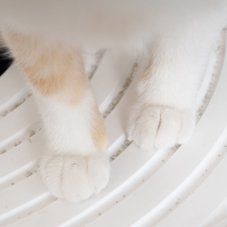 Iris Large Round Top Entry Cat Litter Box with Scoops photo 4