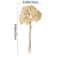 thumbnail image 3 of Artificial Gypsophila Flowers, Faux Gypsophila Vase Filler Picks, Small Artificial Flowers for Dining Table Centerpiece Shelf Living Room Mother's Day Gift, AKLJWH - #07 Beige, 3 of 8