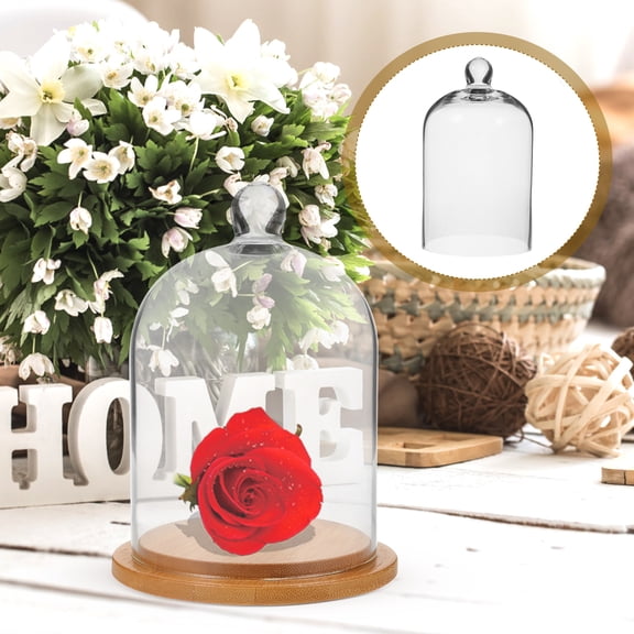 Clear Glass Display Dome Preserved Flower Cover Valentine's Day Gift Display Dome