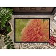thumbnail image 3 of Carolines Treasures TMTR0232MAT Floral by Malenda Trick Door Mat Indoor Rug or Outdoor Welcome Mat 18x27 Doormat  27"L x, 3 of 4