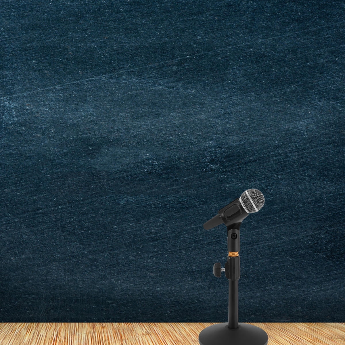 HEANUJJ Liftable Microphone Stand with Round Base Black for Home Recording and Streaming
