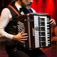 thumbnail image 1 of SOPOTUTU 2 Pcs Padded Accordion Strap for Musicians Black Synthetic Comfortable Padding, 1 of 8