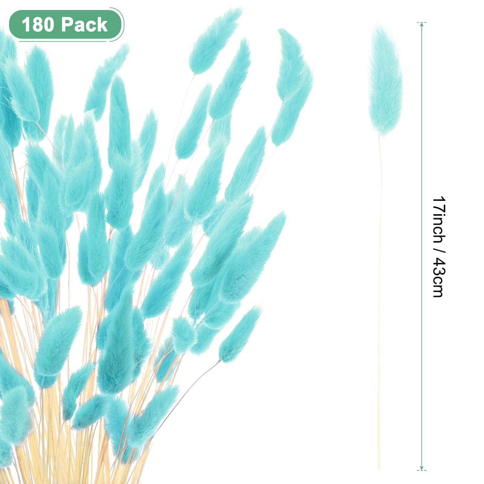 Uxcell 180-Pack Bunny Tails Grass 17 Inch Fluffy Rabbit Tail Grass Dried Flowers for Home/Wedding [Blue]