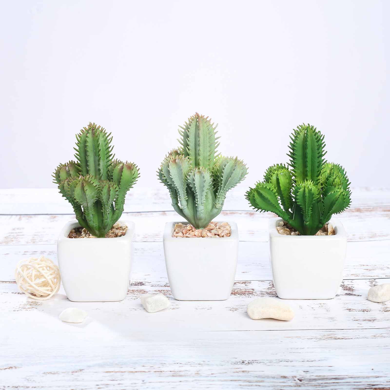 Details about   3 5" Assorted Green Faux Succulent Cactus Plants with Off White Ceramic Pots 