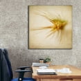 thumbnail image 6 of Epic Graffiti 'Grasses 2' by Jessica Rogers, Canvas Wall Art, 37"x37", 6 of 8