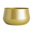 thumbnail image 2 of yotijay Brass Pots Indoor Cactus Plant Pot with Drainage, 2 of 9