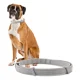 thumbnail image 1 of Collar Para Perros Pequeños Y Gatos De Menos O Más De 8 Kg, 1 of 8
