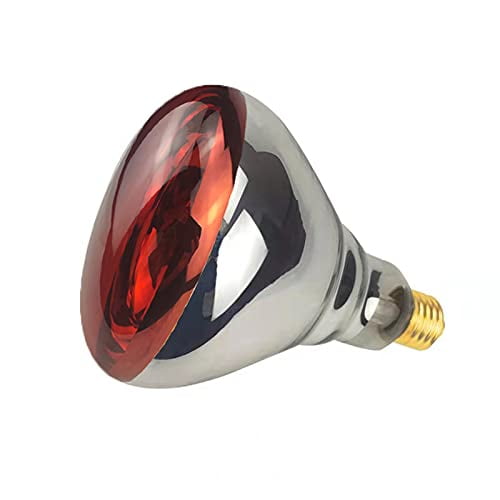 BONGBADA Lot de 2 Lampes Thermiques 250 Watts Ampoules Infrarouges Ampoule en Verre Rouge pour Service Alimentaire, Ampoule pour Couveuse, Poussins, Animal de Compagnie, Salle de Bain, Utilisation en Luminothérapie E26 B