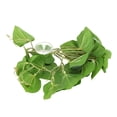 thumbnail image 3 of Leaves, Plastic 9.8in Reptiles Simulation Leaves Decoration Adding Fun With Powerful Suction Cup For Aquarium, 3 of 8