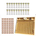 thumbnail image 2 of yingyy Bee Cultivating Box Kit Plastic Bee Queen Cage Queen Bee Incubation Box, 2 of 6