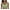 03-Green, variant on Daystry Womens Wireless Bras No Underwire Push Up Bra Comfort Seamless Supportive Full Coverage Everyday Bras Gradient Color with Bra Extender
