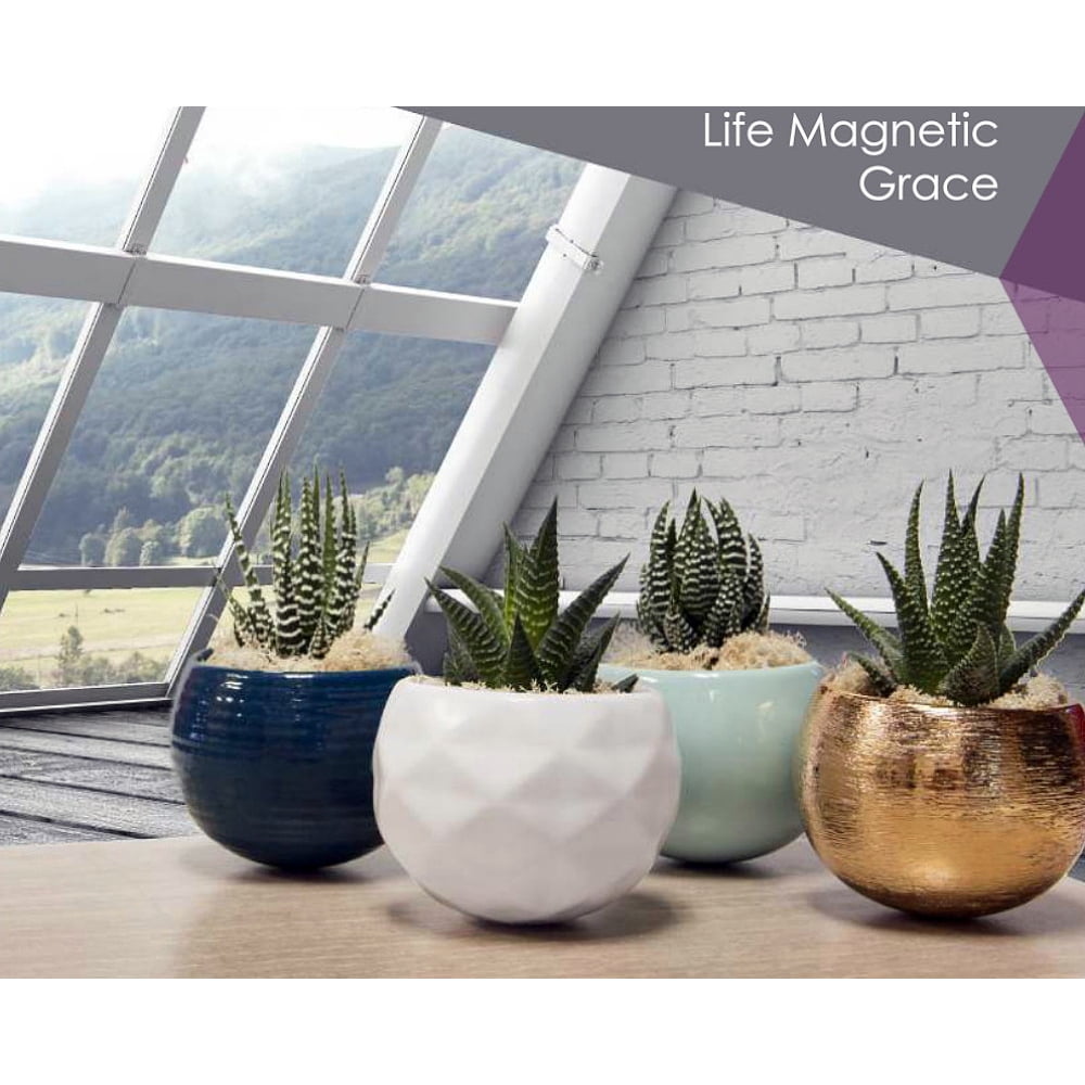 Grace with Live Plant 3 x 2.5 x 5" Mint