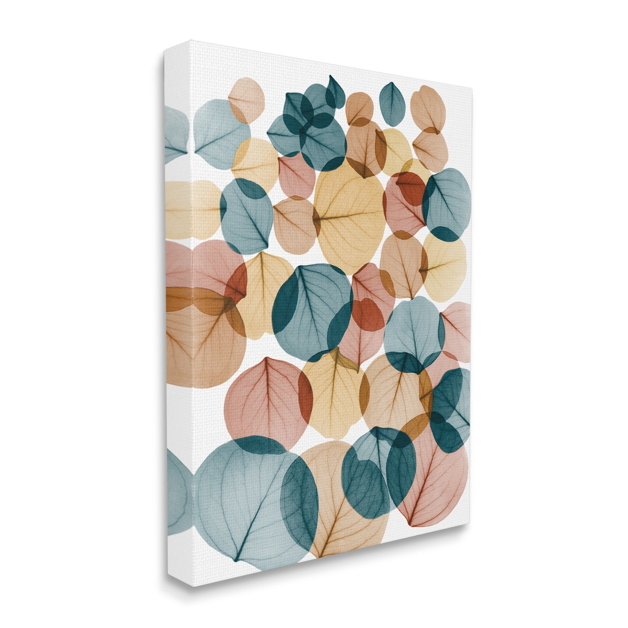 Stupell Industries Eucalyptus Leaves Translucent Blue Yellow Orange Botanicals , 16 x 20,Design by Albert Koetsier