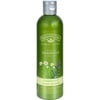Nature's Gate - Shampoo Organics Herbal Blend Moisturizing Chamomile & Lemon Verbena - 12 oz.