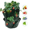 3 Gallon Strawberry Bag PE Strawberry Bag Color Bag Gardening Seedling
