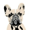 thumbnail image 2 of SD Graphics Studio 12x12 Gold Ornate Wood Framed with Double Matting Museum Art Print Titled - French Bulldog, 2 of 4