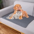 thumbnail image 3 of Almohadilla impermeable para orinar de mascotas, antideslizante, fácil de secar, almohadilla de entrenamiento para perros y gatos, 3 of 5