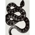 thumbnail image 1 of nuLOOM Thomas Paul Power Loomed Serpent Black & White 5' x 8' Area Rug, 1 of 2
