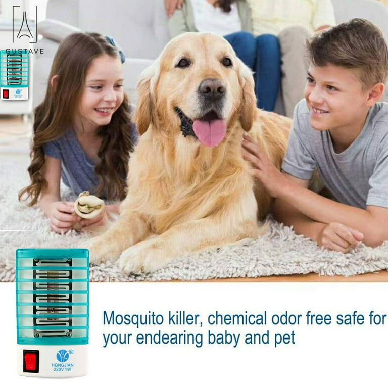 Flea Trap Electric Pest Trap Warm & Blue LED Light with 10 Pieces Sticky  Board Refills - Children Pets Safe Flea Killer for Inside Your Home
