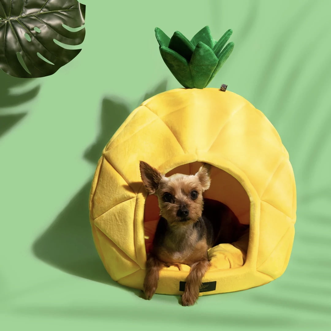 NANDOG Insta Fun Specialty Dog and Cat Bed Collection Large Pineapple Walmart