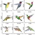 thumbnail image 5 of Adhesivo anticolisión electrostático para vidrio con forma de colibrí, 5 of 5