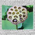 thumbnail image 1 of ABPHQTO Tapiz de flor de loto Decoración de pared Sala de estar Dormitorio Tapices 100x150 cm, 1 of 3