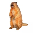 thumbnail image 1 of Kits de juguetes de animales,Kits de estatuas de animales de simulación para adultos y niños,Figura de modelo animal para decoración del hogar,juguete de marmota,Figuras de animales, 1 of 8