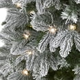 thumbnail image 3 of Nearly Natural T1574 5 ft. Flocked Colorado Mountain Fir Artificial Christmas Tree with 300 Microdot LED Lights, Warm White, 3 of 10