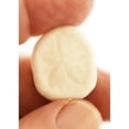 thumbnail image 4 of 25 White Baby Sea Biscuits (Sea Cookies/Sand Dollars) 1-1 1/2" Beach Wedding Nautical Crafts, 4 of 4